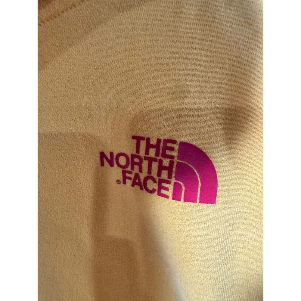 The North Face Mens Yellow Alpine Equipment Logo Hoodie Sweatshirt Large